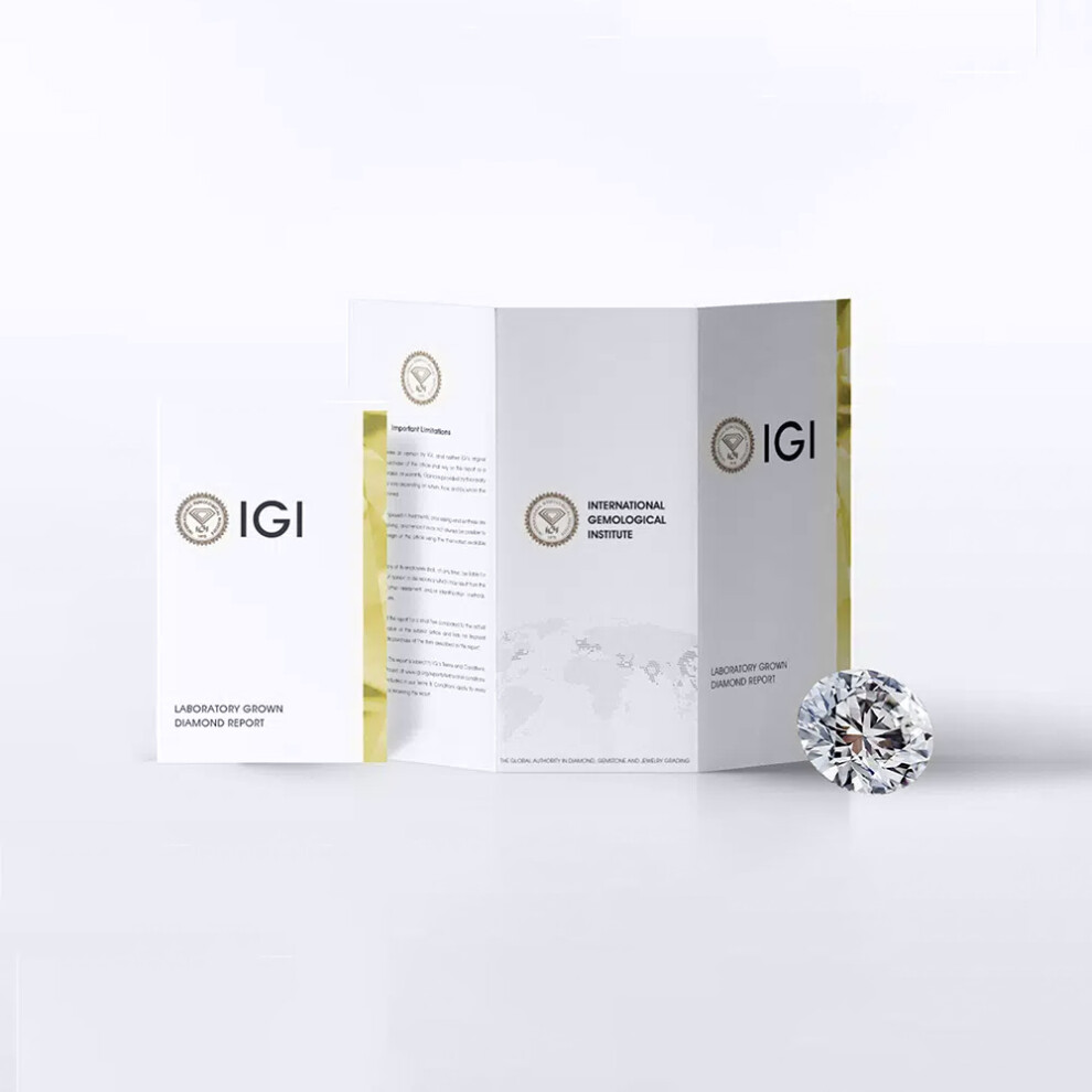Solid 18ct Yellow Gold Set Round Brilliant D / VS Lab Grown 1.40ct Diamond Solitaire Stud Earrings - LAB18E001-140 - Image 6